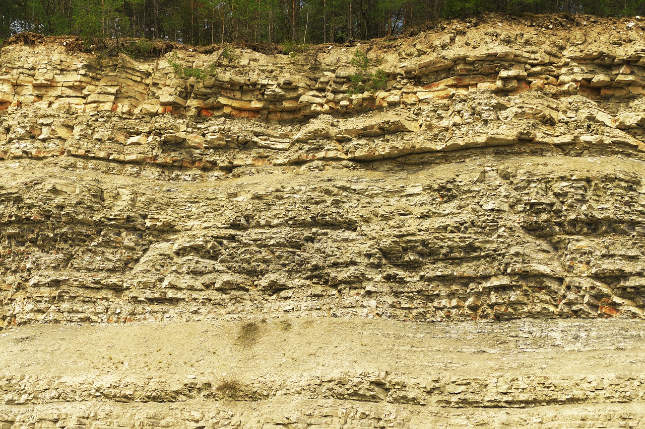 二四六天天彩资料大全网最新排期,动态解读分析_精简版2142.7461