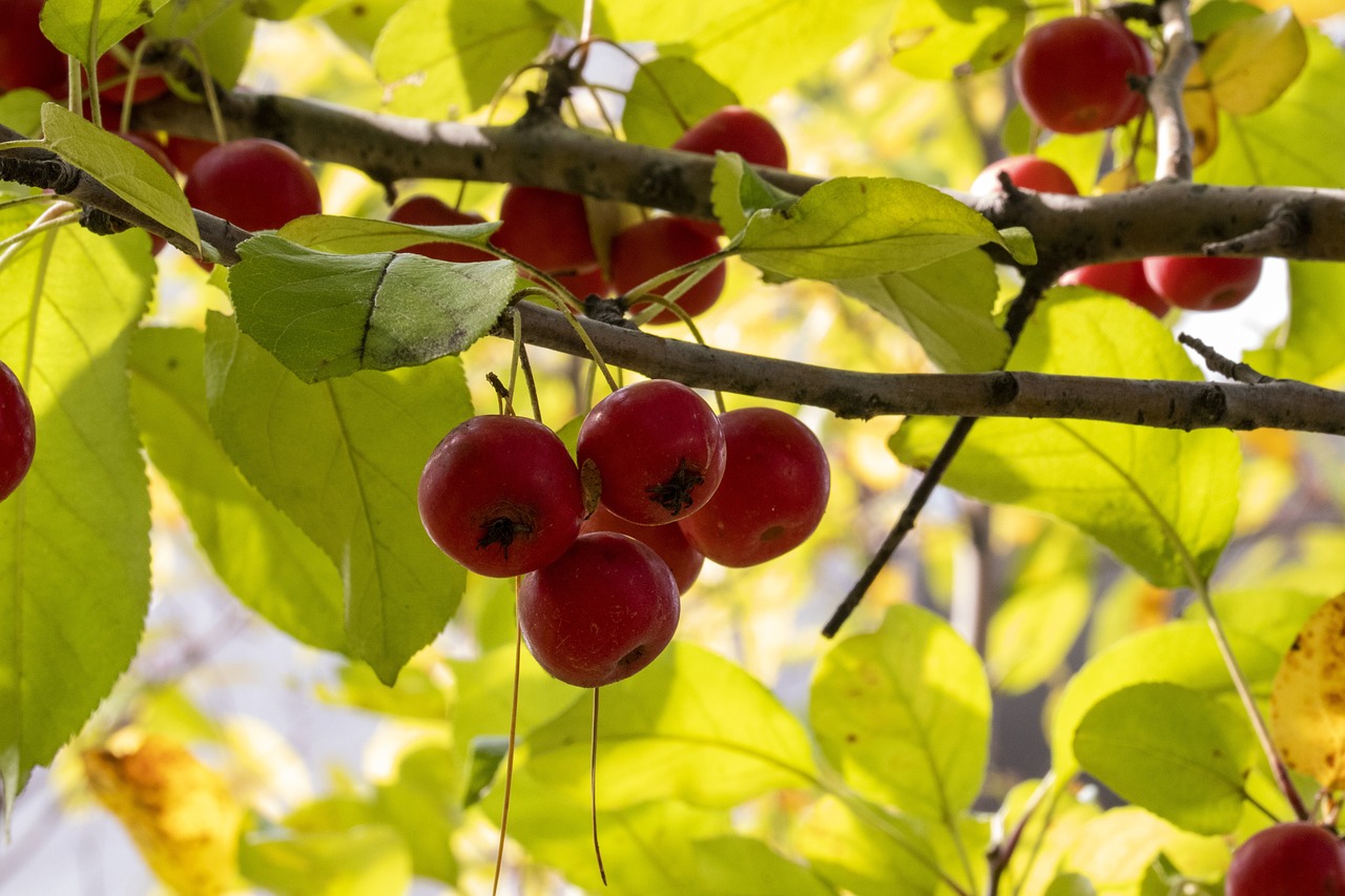 临泉杨森最新消息全面报道,最新动态与进展跟踪