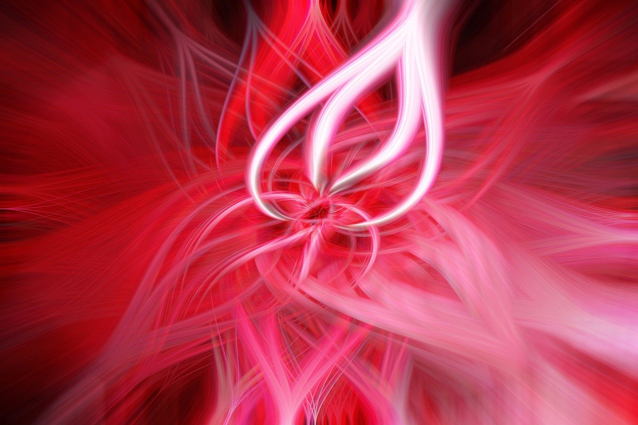 揭秘海珠小雅,最新动态与未来展望的魅力之旅