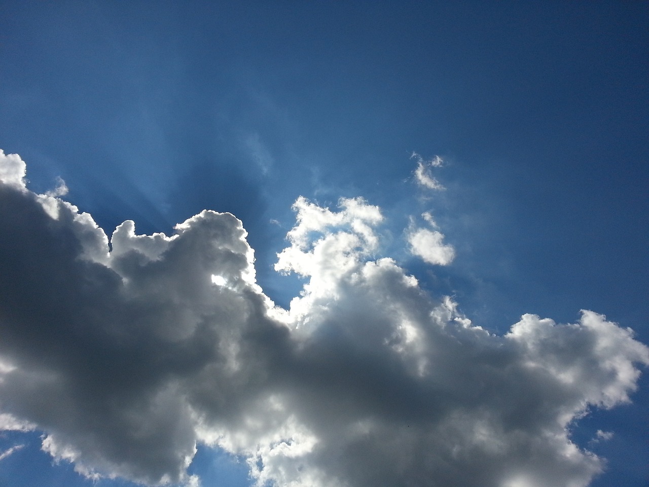 武术打假最新动态与深度解析