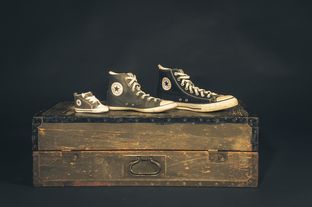 武术打假最新动态与深度解析