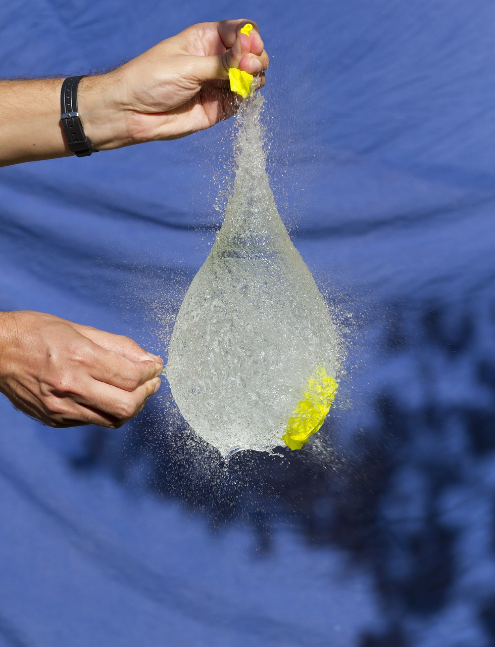 临安最新招聘动态揭秘,19楼招聘信息及其行业影响分析