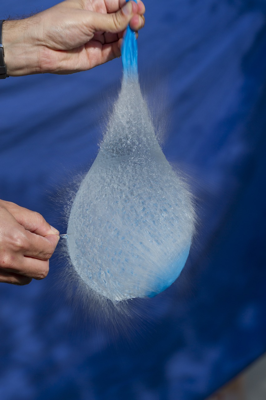 厦门小鱼网最新招聘动态及其影响分析