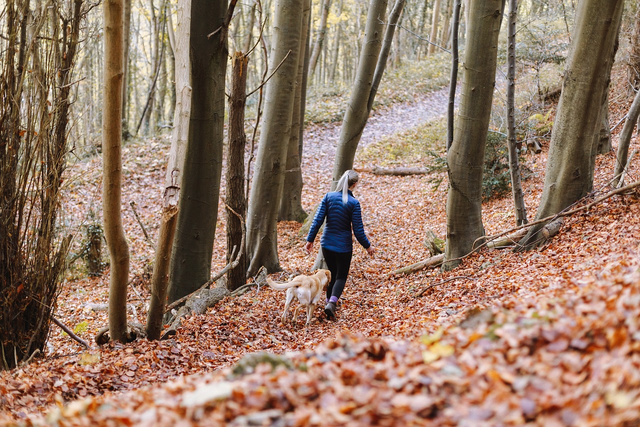 盘锦平面设计招聘最新动态与解析速递