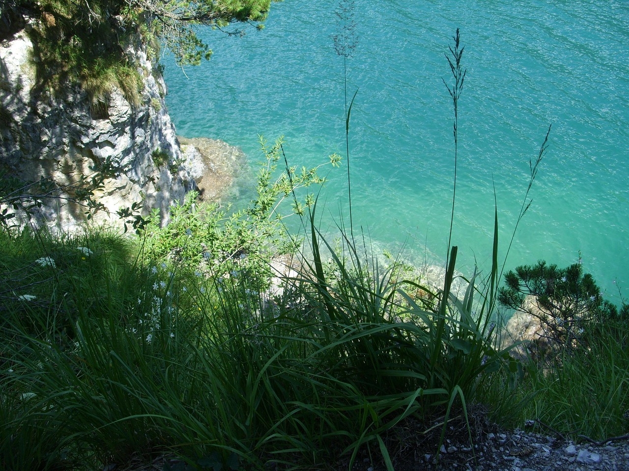 忠县水普路建设进展、最新动态与未来展望