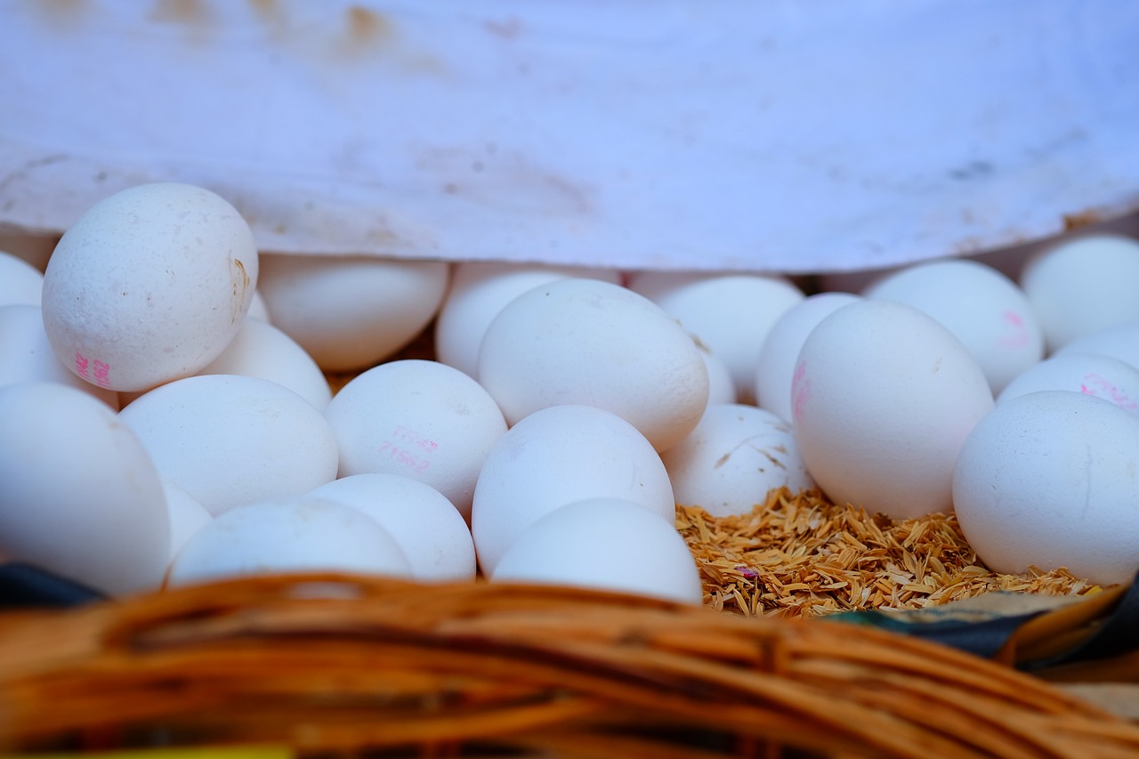 冶超最新动态,展现新时代风采,引领未来发展方向