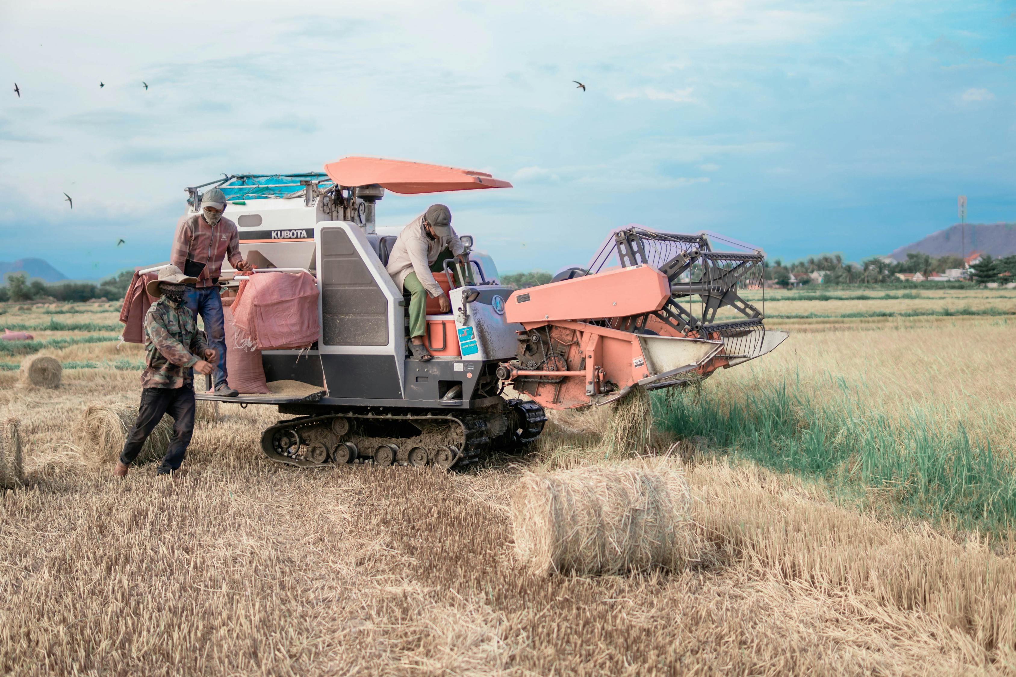 雷沃谷神最新收割机,引领农业革命,开启收割新纪元