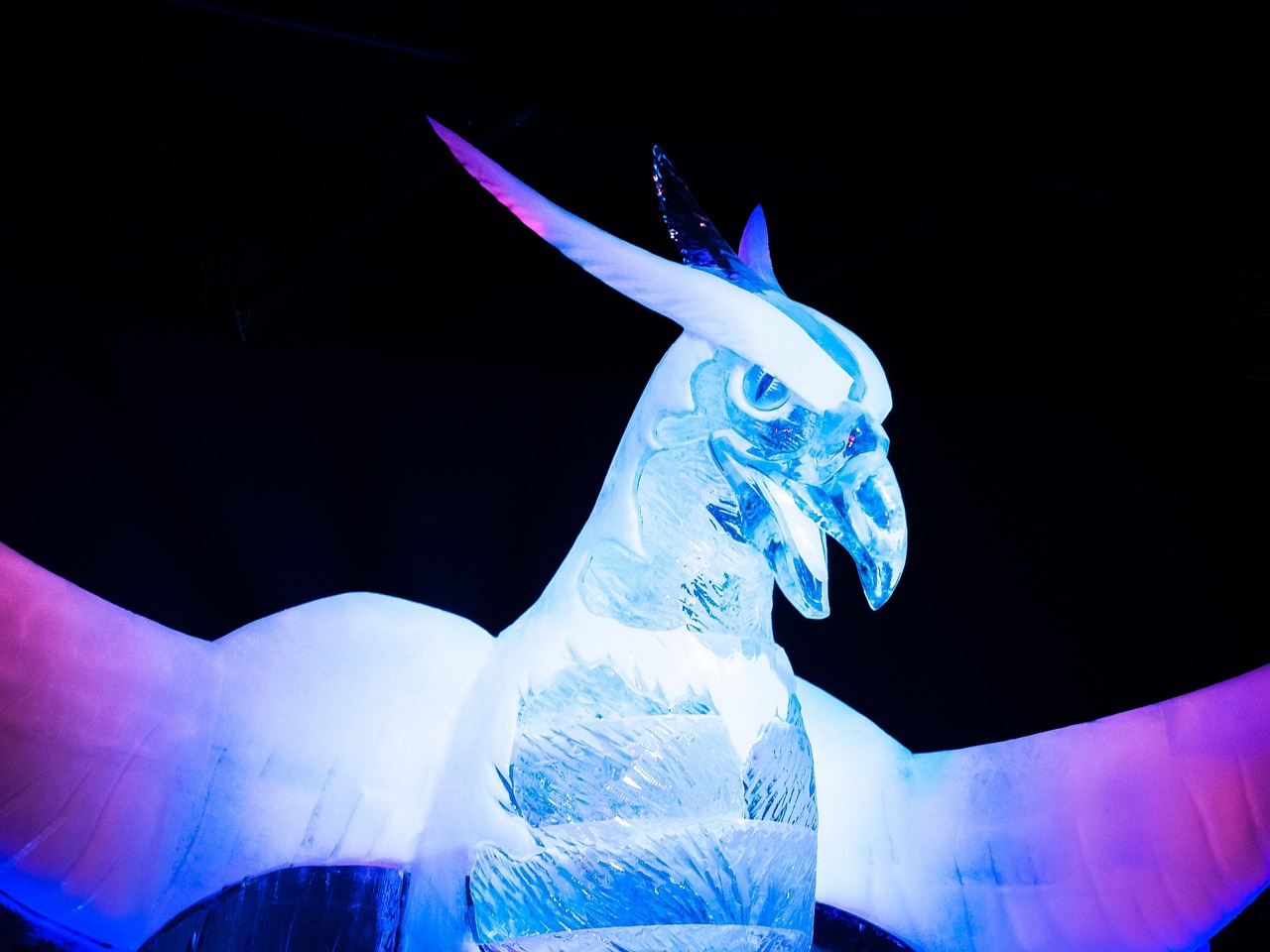 四月音乐舞蹈作品,艺术魅力的绽放