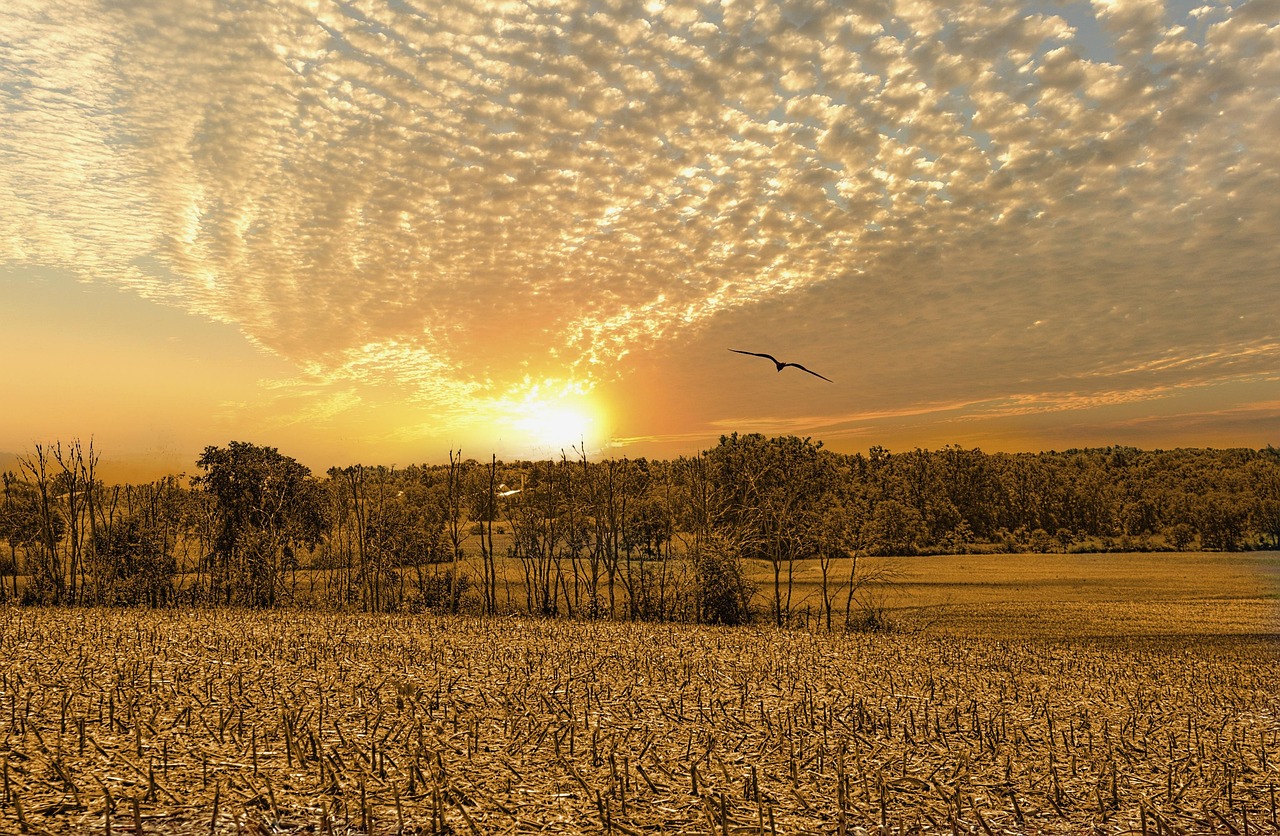 从四月叶锁走向荧幕之星,演员的奋斗之路