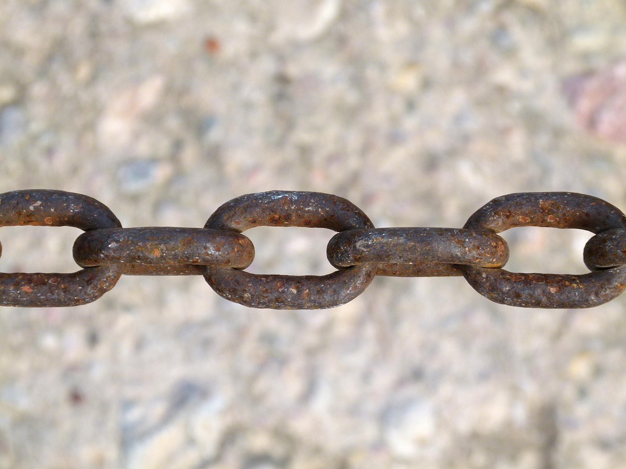 全国谷子价格实时动态报告,四月份市场走势分析