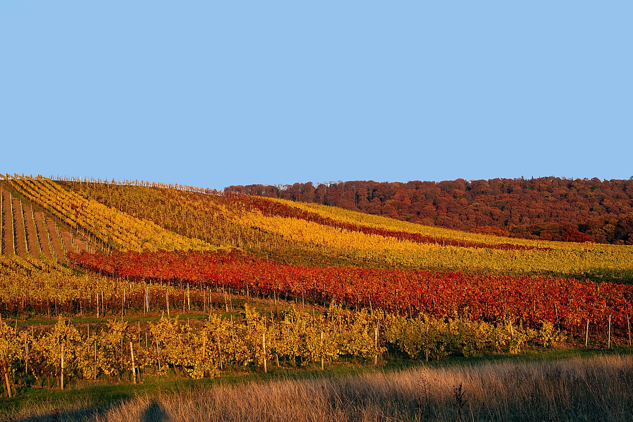 四月份全国肺炎疫情最新动态报告,疫情发展及应对措施分析