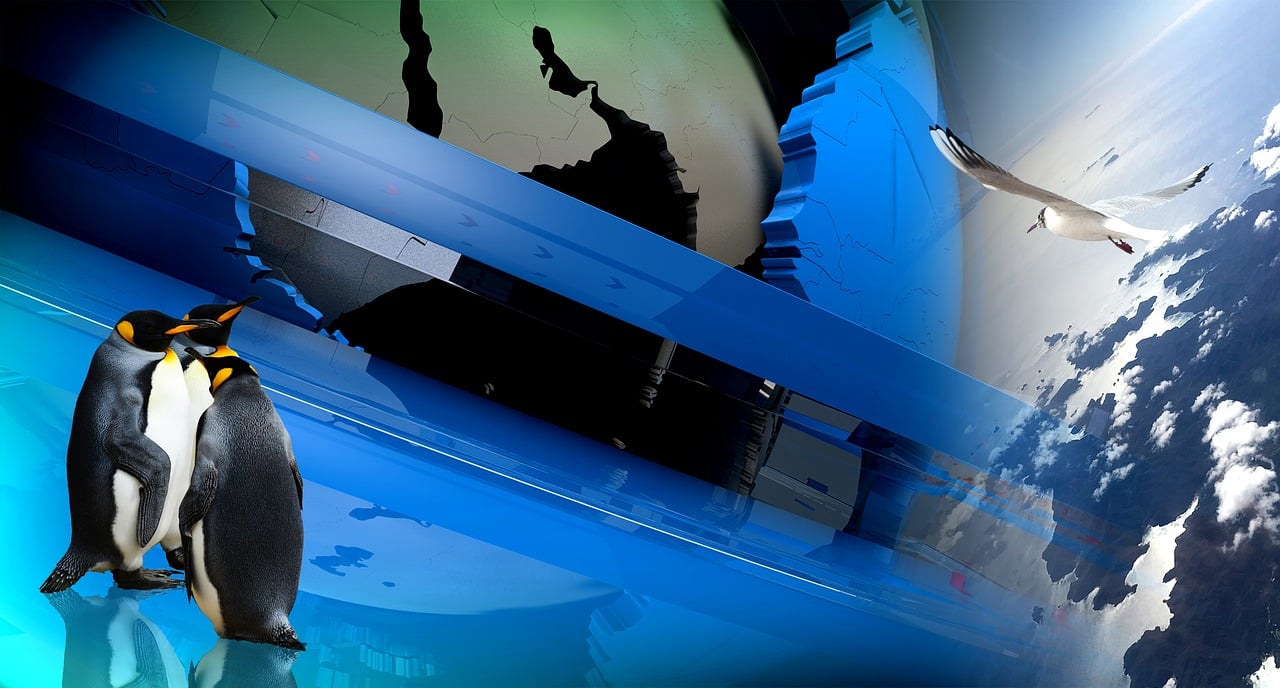 五月最新网战,数字世界的烽火硝烟