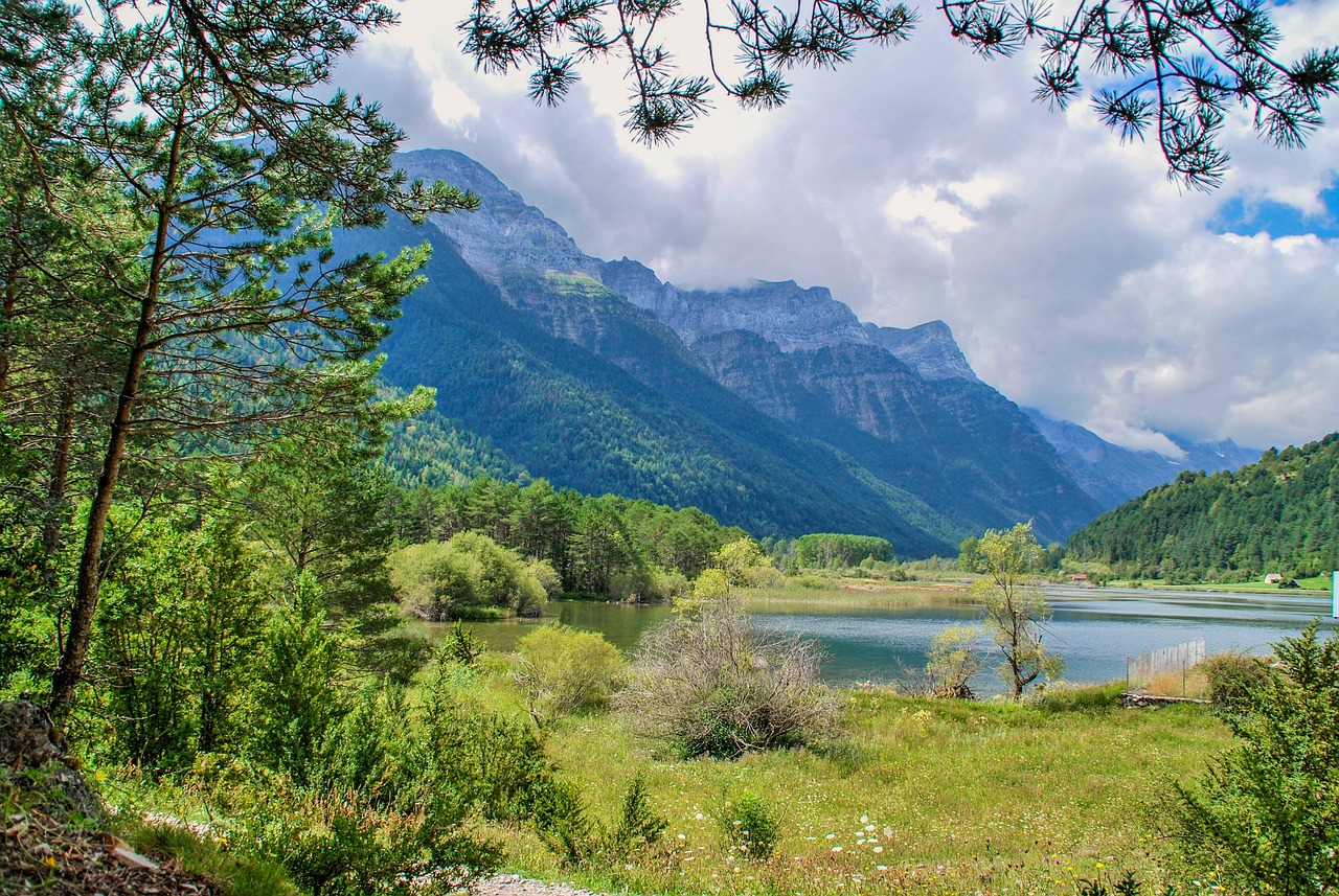 陆萱萱五月最新动态,光芒四射的五月风采