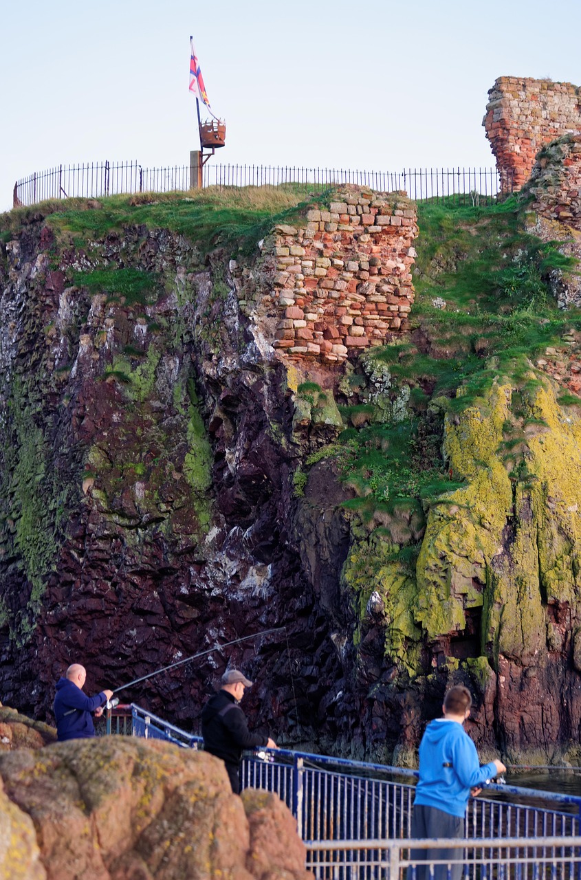 五月大连港持续繁荣,最新动态与未来展望