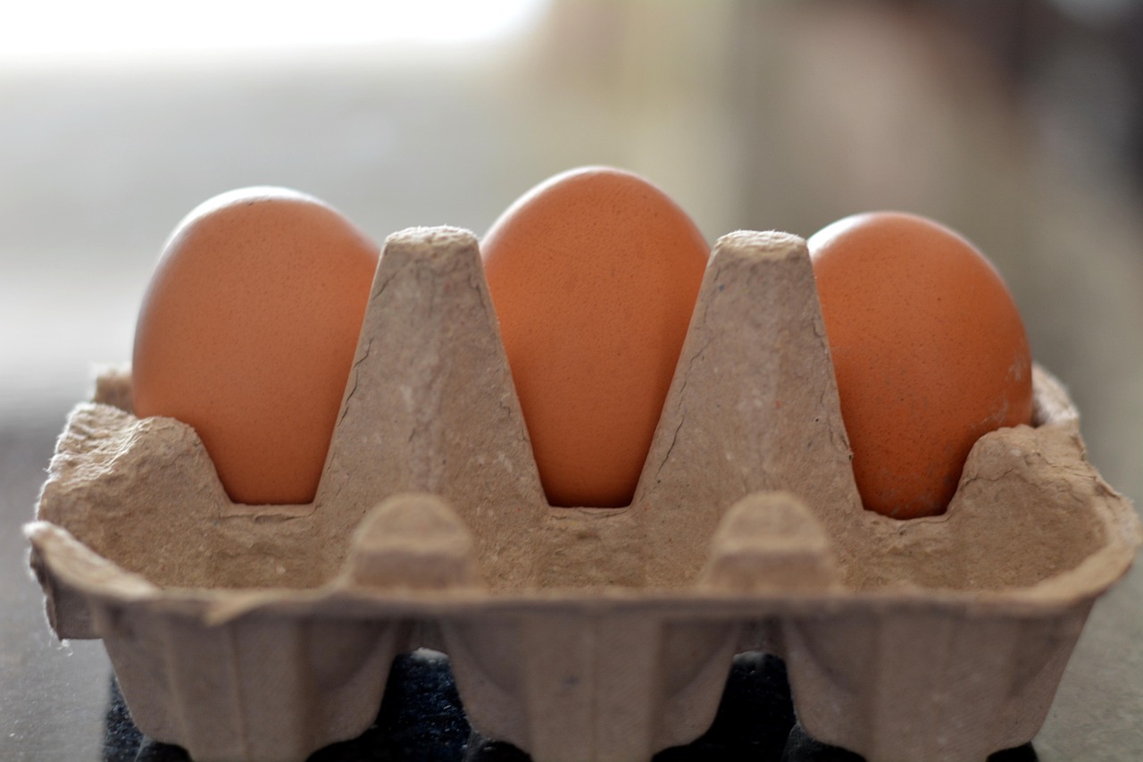 五月鸡蛋资讯大解析,市场走势、产业动态与健康价值探讨