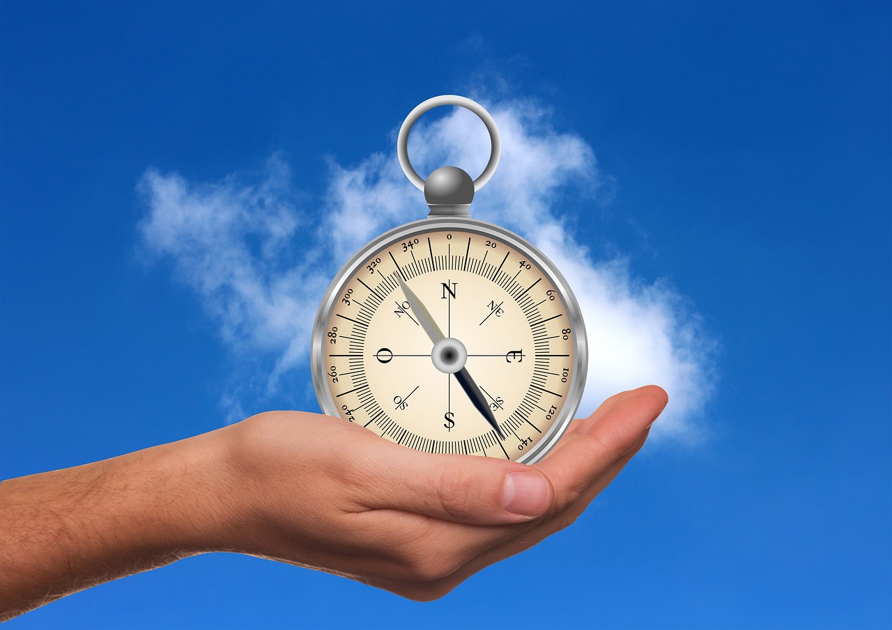 五月沉香最新新闻与行业趋势深度解析