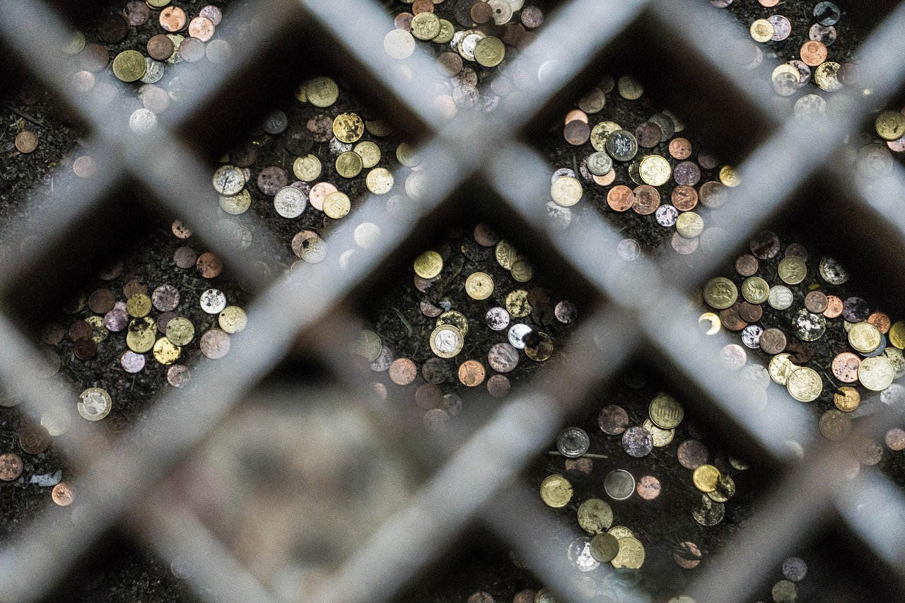 五月沉香最新新闻与行业趋势深度解析