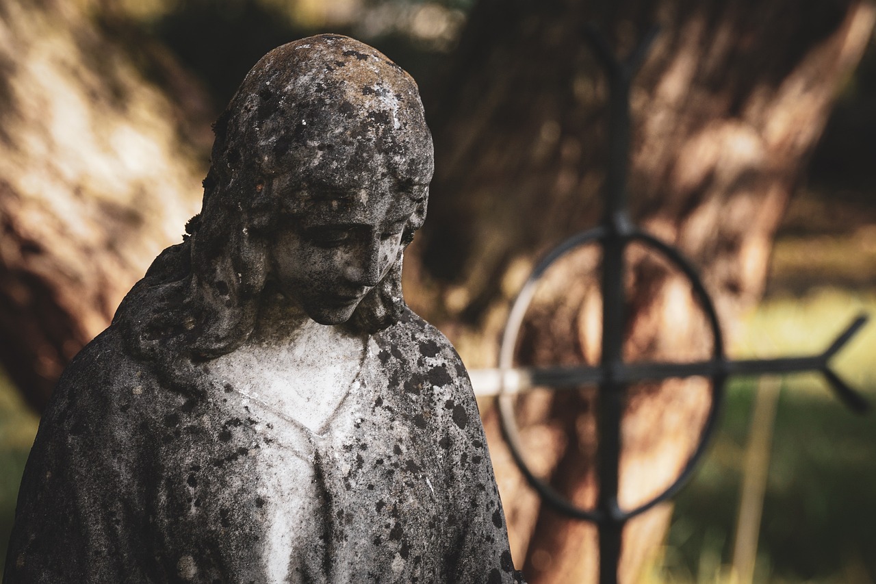 五月哀思,纪念电影演员王心刚逝世