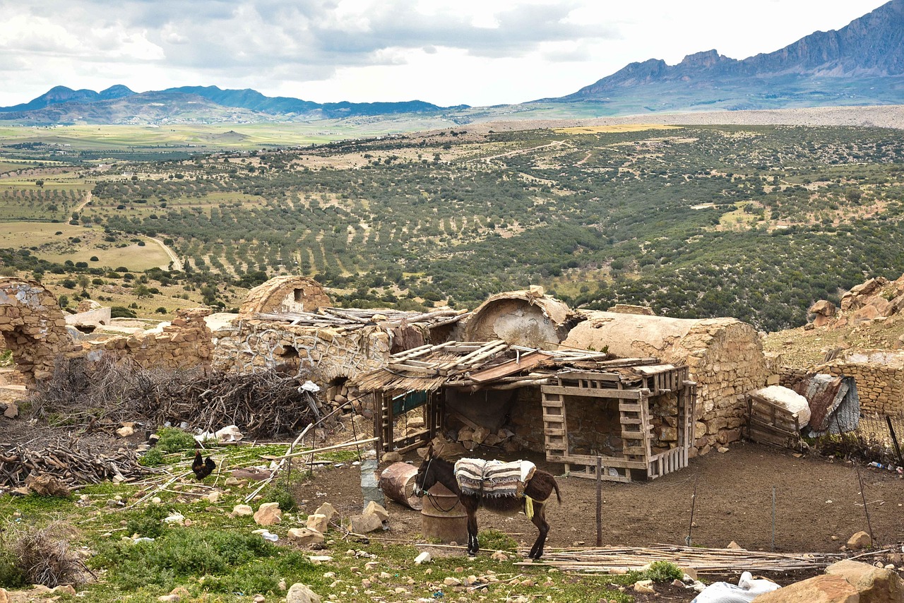 五月田波最新动态揭秘,引领未来,探索前沿之路