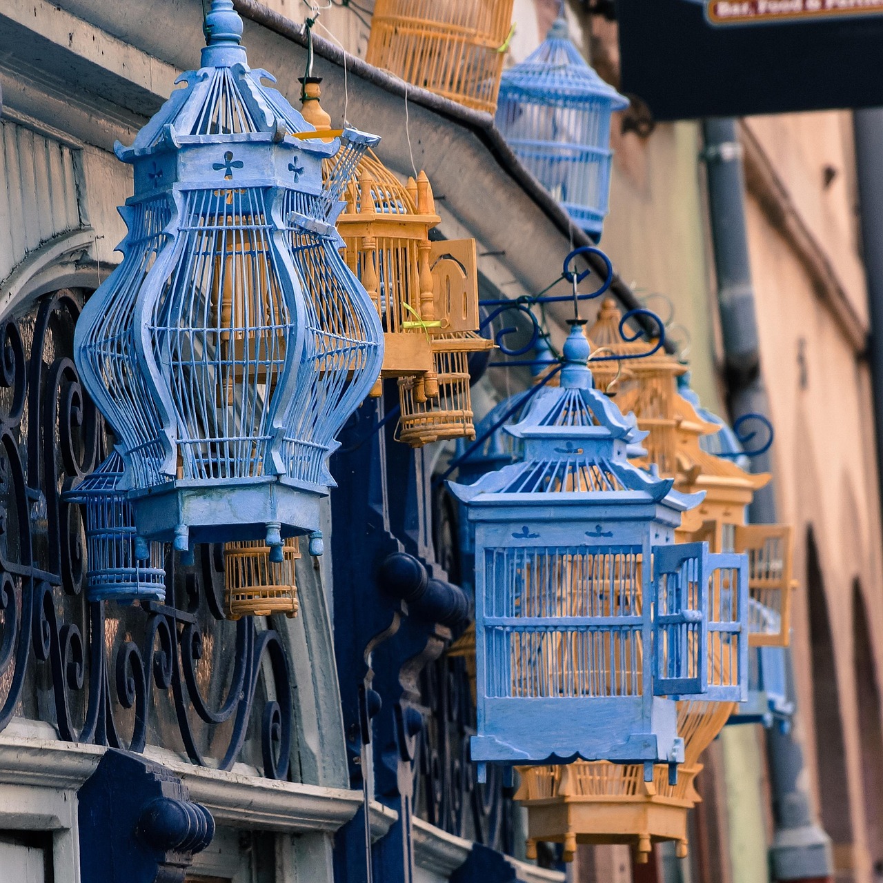 五月印度成人电影的魅力与文化探索,影响与深度解析