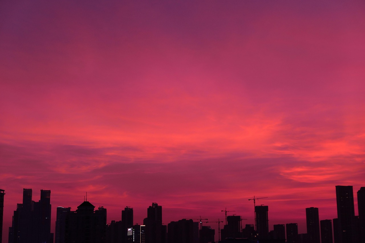 五月月明星稀的夜晚,诗意与生活的交响乐章