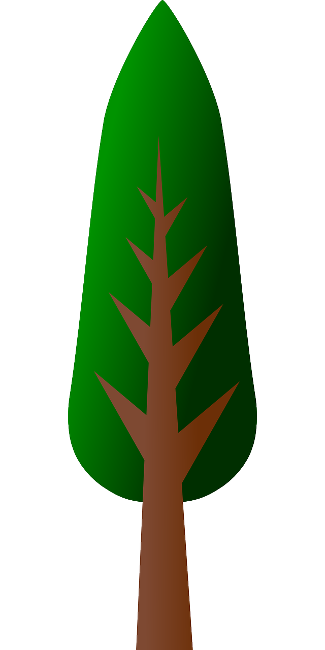 五月浐灞生态区最新动态,自然与城市的和谐共生