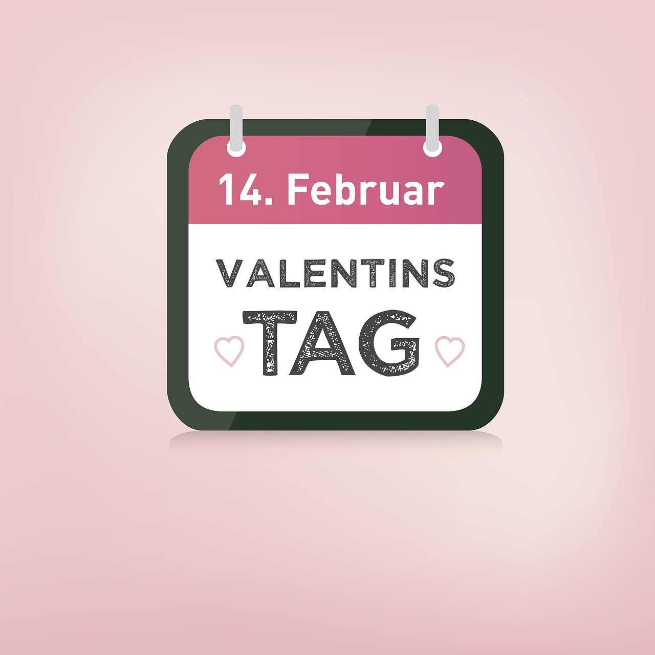 五月最新工厂建设项目进展报告,全新工厂建设五月动态